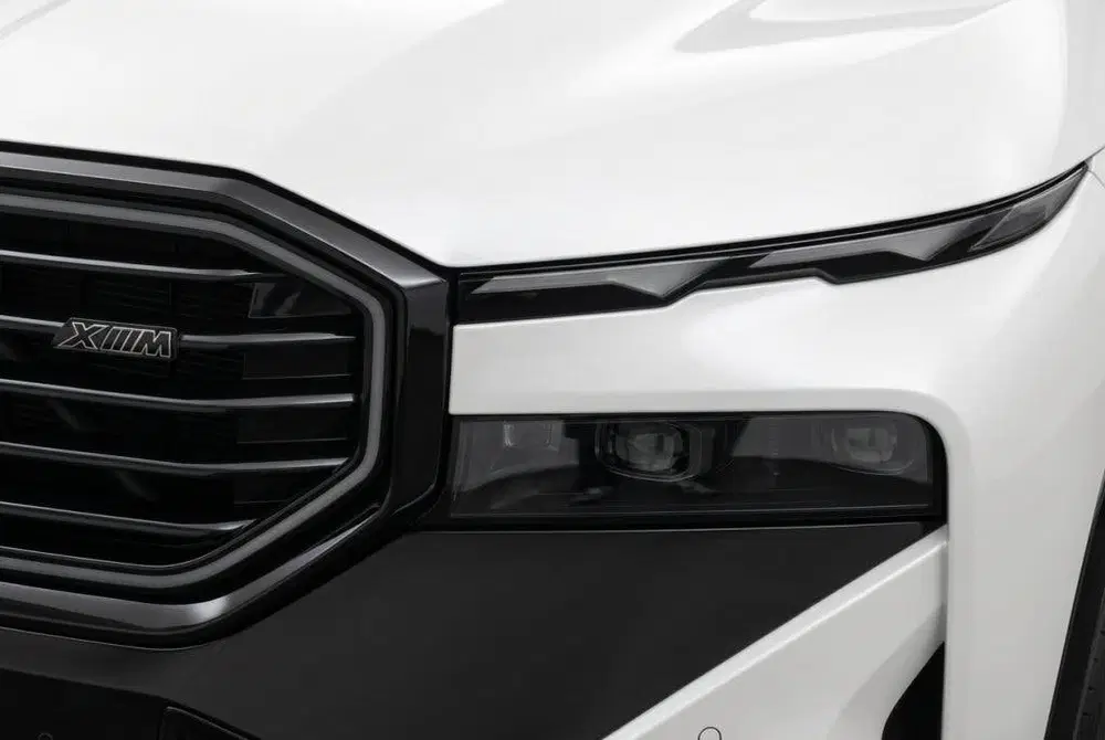 BMW XM PHEV 30 kWh M Sport V8 Carbon l Drive Assi uit 2024, foto 9
