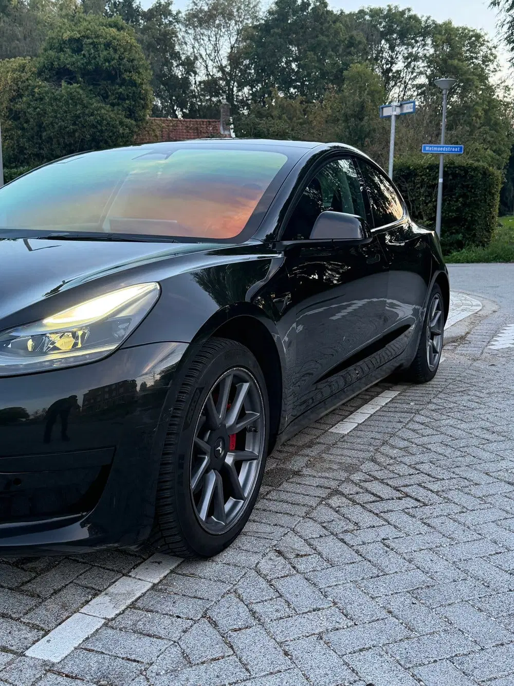 Tesla Model 3 2023 Standard RWD Plus 60kWh uit 2023, foto 2