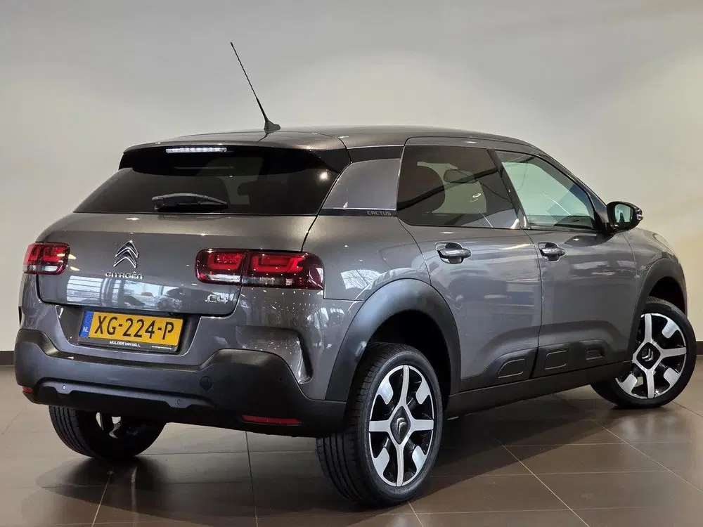 Citroën C4 Cactus Shine 1.2 Turbo 110pk uit 2019, foto 5