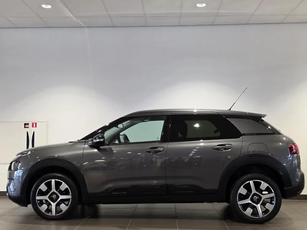 Citroën C4 Cactus Shine 1.2 Turbo 110pk uit 2019, foto 8
