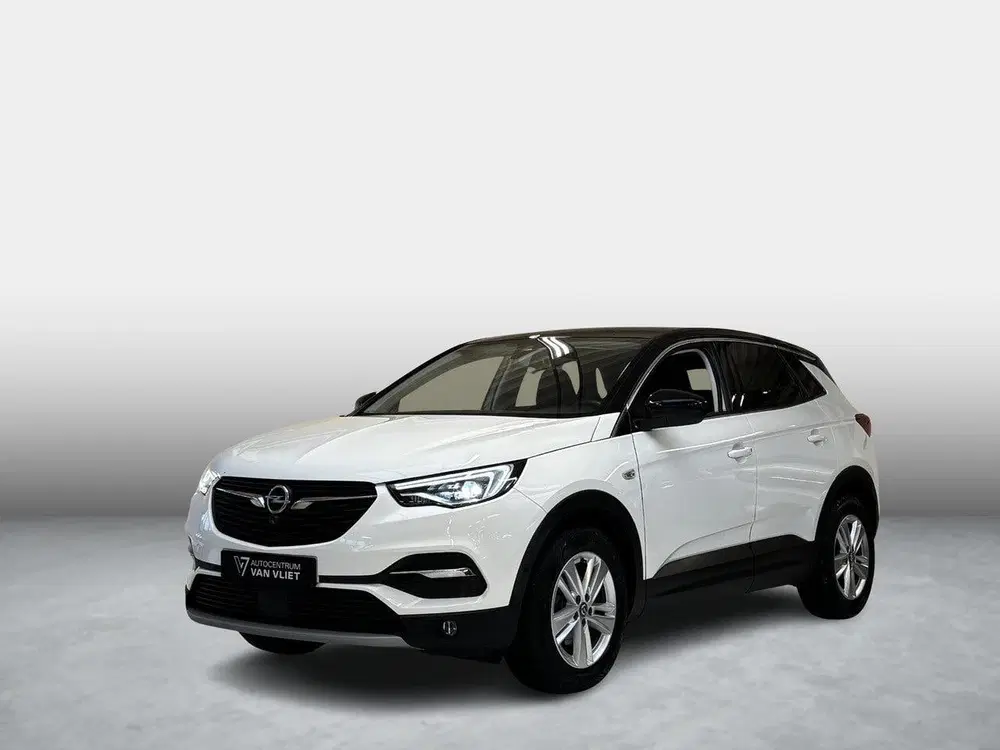 Opel Grandland 1.2 Turbo Business Elegance uit 2021
