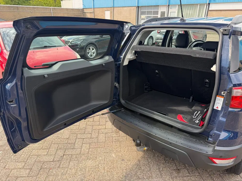 Ford EcoSport 1.0 EcoBoost Trend Ultimate uit 2019, foto 8