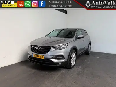 Opel Grandland 1.2 Turbo Business Executive (bj 2019) uit 2019