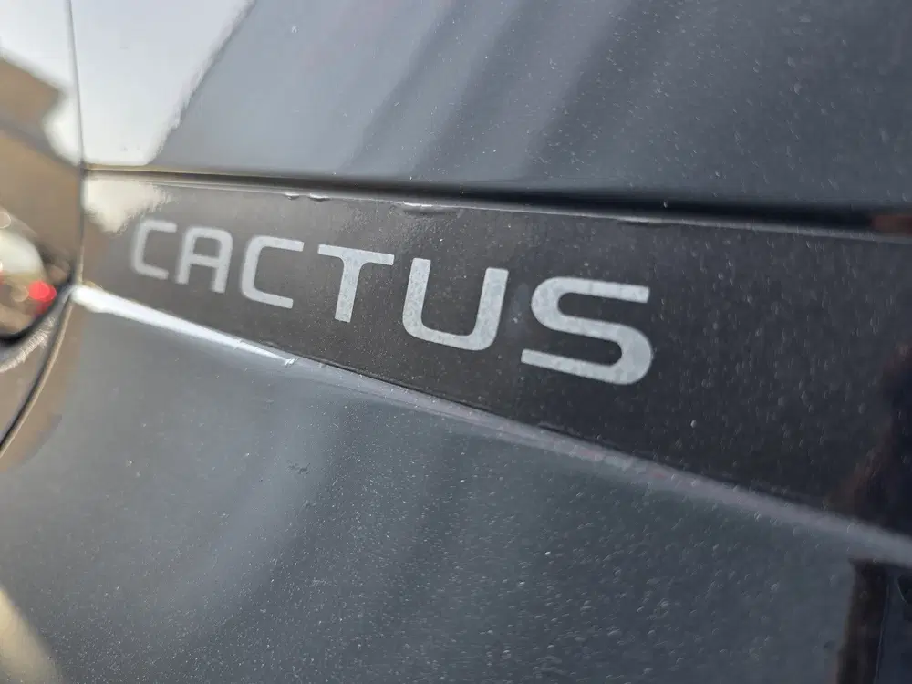 Citroën C4 Cactus 1.2 PureTech AUTOMAAT NAVI TEL LM CAMERA uit 2019, foto 10