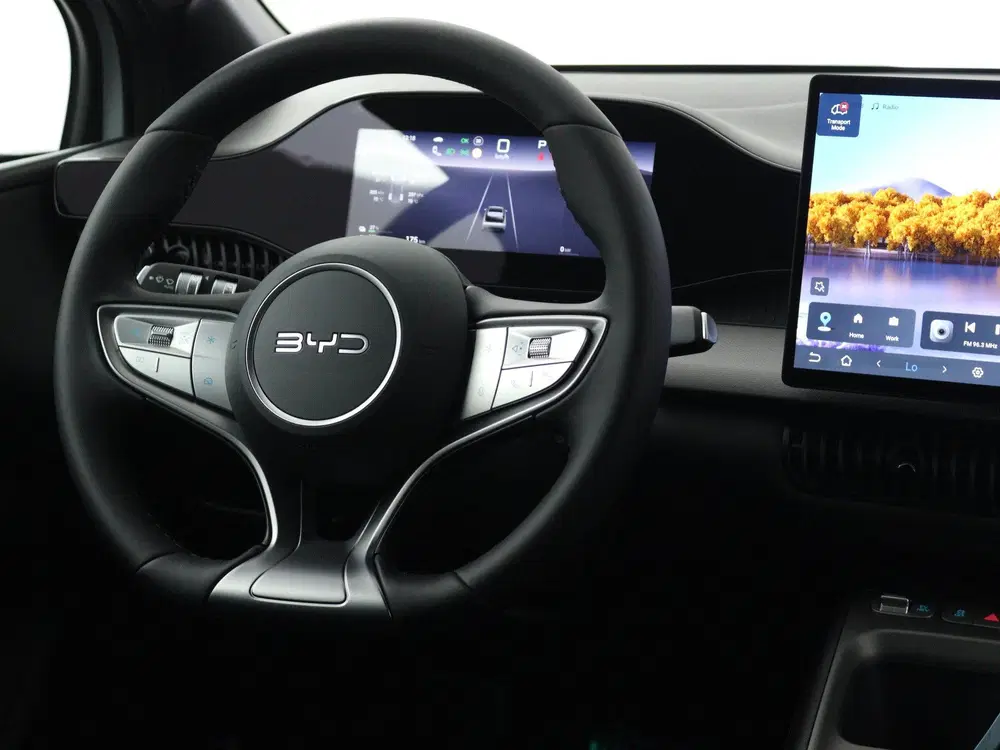 BYD Dolphin G 1.5 DM-i Boost uit 2026, foto 10
