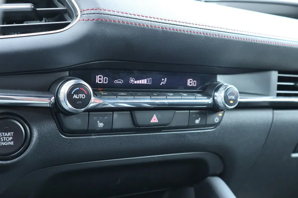Mazda 3 2.0 e-SkyActiv-X M Hybrid 186 Homura Camer uit 2024, foto 13