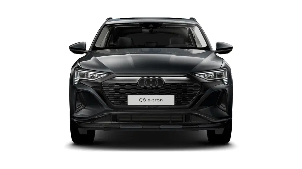 Audi Q8 55 quattro Advanced Edition 115 kWh uit 2024, foto 14