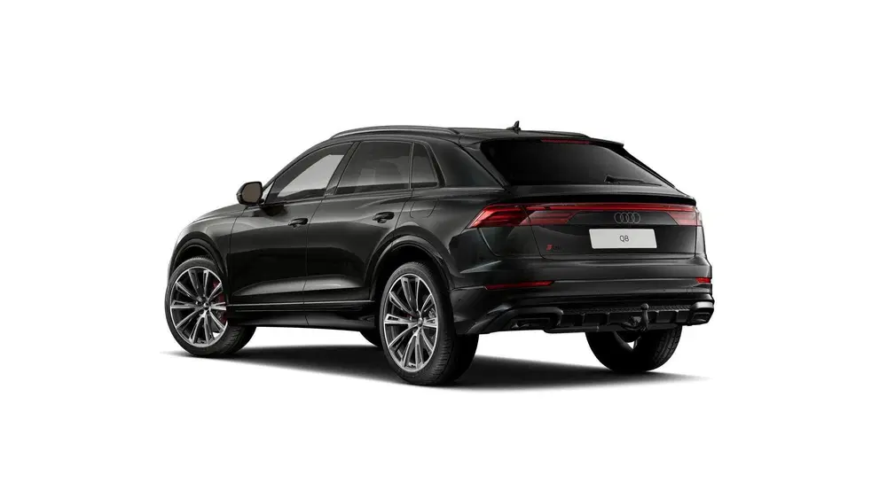 Audi Q8 55 TFSI e quattro Pro Line S 394 PK uit 2024, foto 2