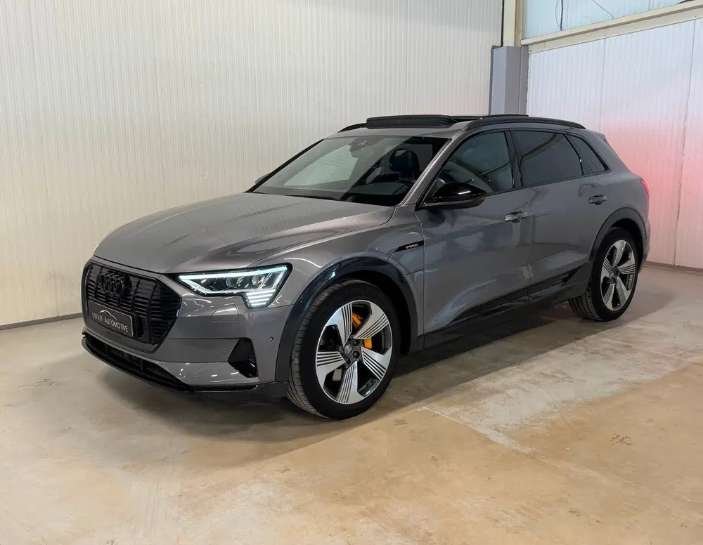 Audi e-tron 55 quattro advanced 95 kWh uit 2019, foto 12
