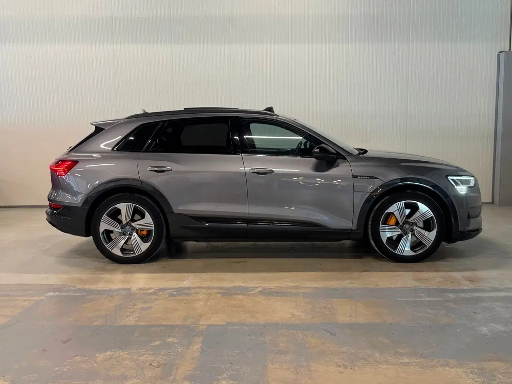 Audi e-tron 55 quattro advanced 95 kWh uit 2019, foto 14