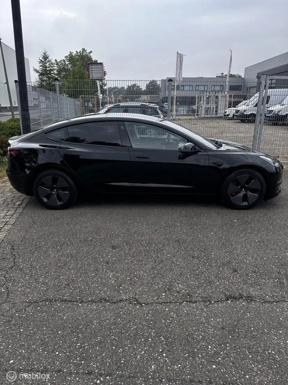 Tesla Model 3 Long Range AWD 75 kWh uit 2019, foto 9