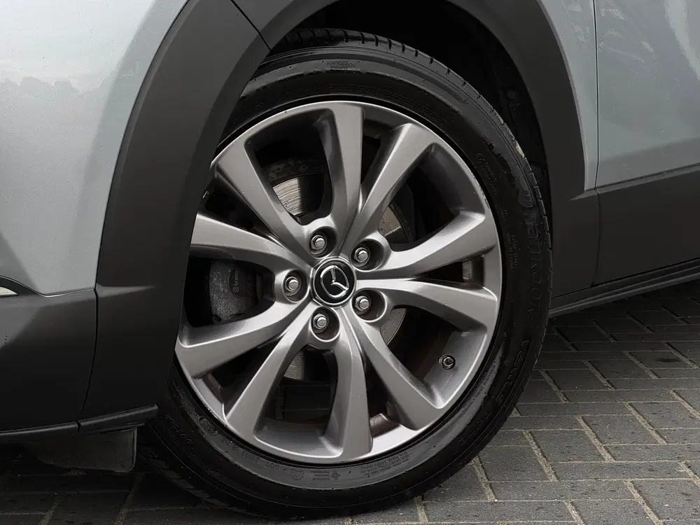 Mazda CX-30 2.0 e-SkyActiv-G M Hybrid Luxury M20 NAVI uit 2019, foto 6