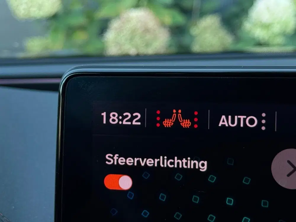 Cupra Formentor 1.5 TSI Business M22 NAVI uit 2021, foto 15