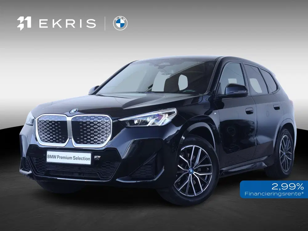BMW iX1 xDrive30 67 kWh uit 2025