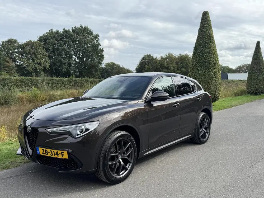 Alfa Romeo Stelvio 2.0t Q4 280pk uit 2019, foto 2
