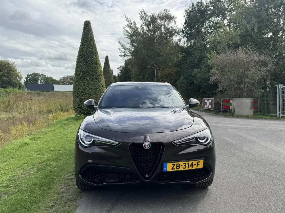 Alfa Romeo Stelvio 2.0t Q4 280pk uit 2019, foto 3