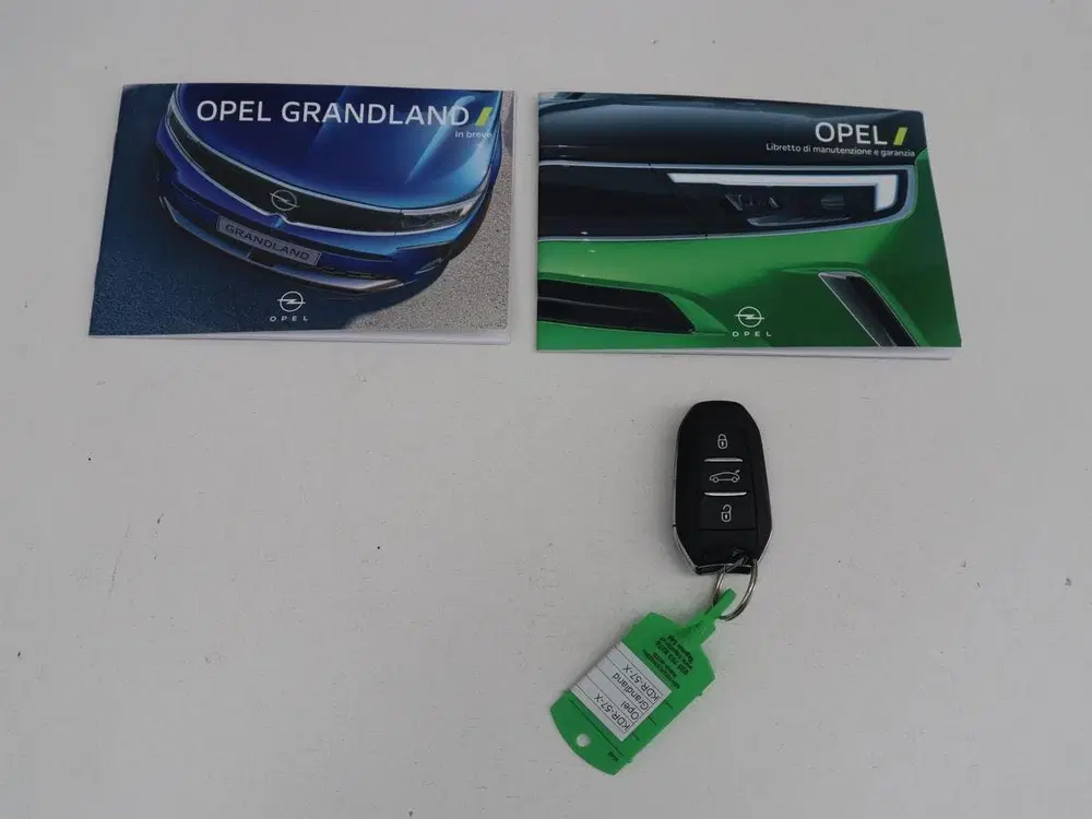 Opel Grandland 1.6 Turbo Plug-In GSE 300PK Hybrid4 4x4 uit 2023, foto 12