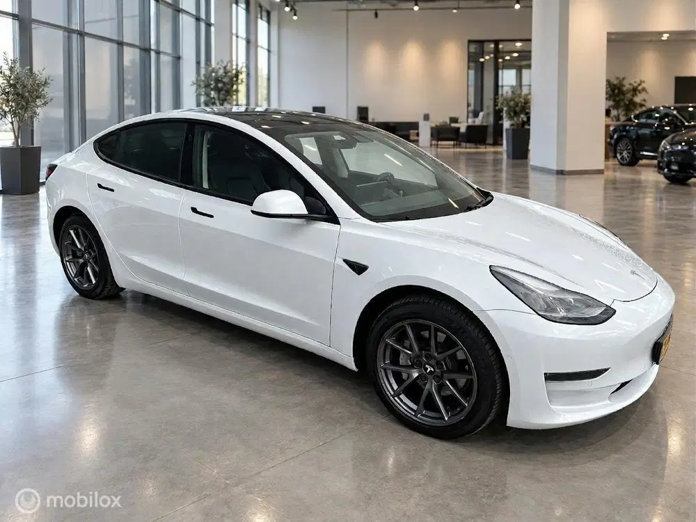 Tesla Model 3 Long Range AWD 75 kWh uit 2020, foto 7