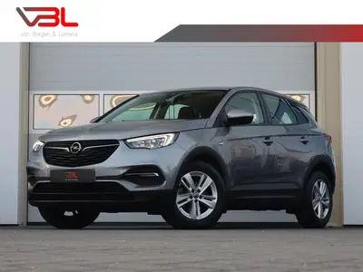 Opel Grandland 1.2 130PK Turbo Business Executive uit 2021