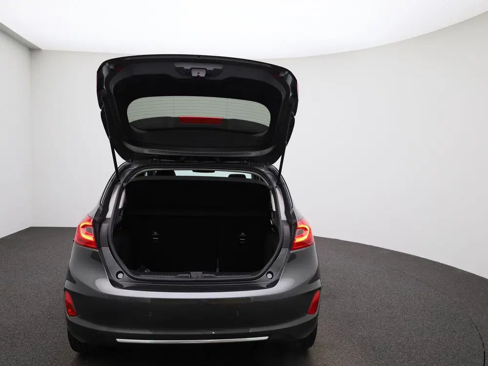 Ford Fiesta 1.0 EcoBoost Hybrid Vignale Panoramadak uit 2021, foto 11