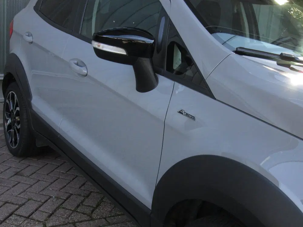 Ford EcoSport 1.0 EcoBoost Active Winterpakket uit 2022, foto 4