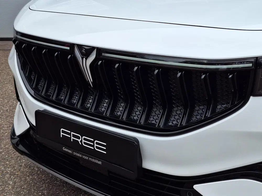 Voyah Free Flagship Edition 4WD 106 kWh uit 2026, foto 5