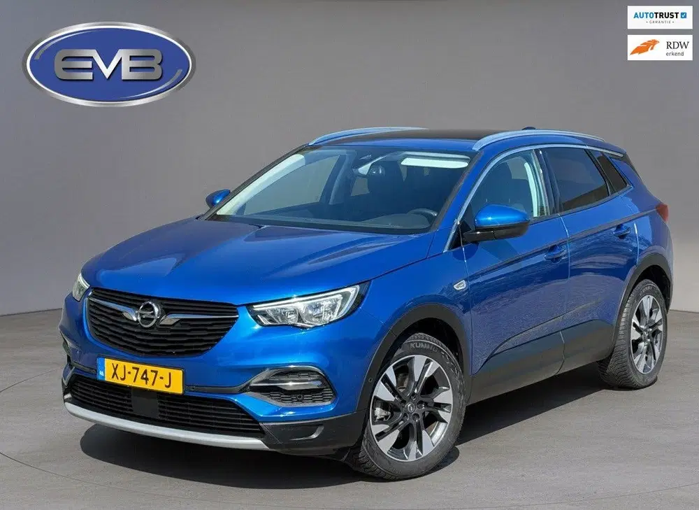 Opel Grandland 1.2 Turbo Business Executive uit 2019