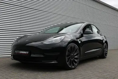 Tesla Model 3 Performance Dual AWD 75 kWh 463PK (Panoran uit 2021