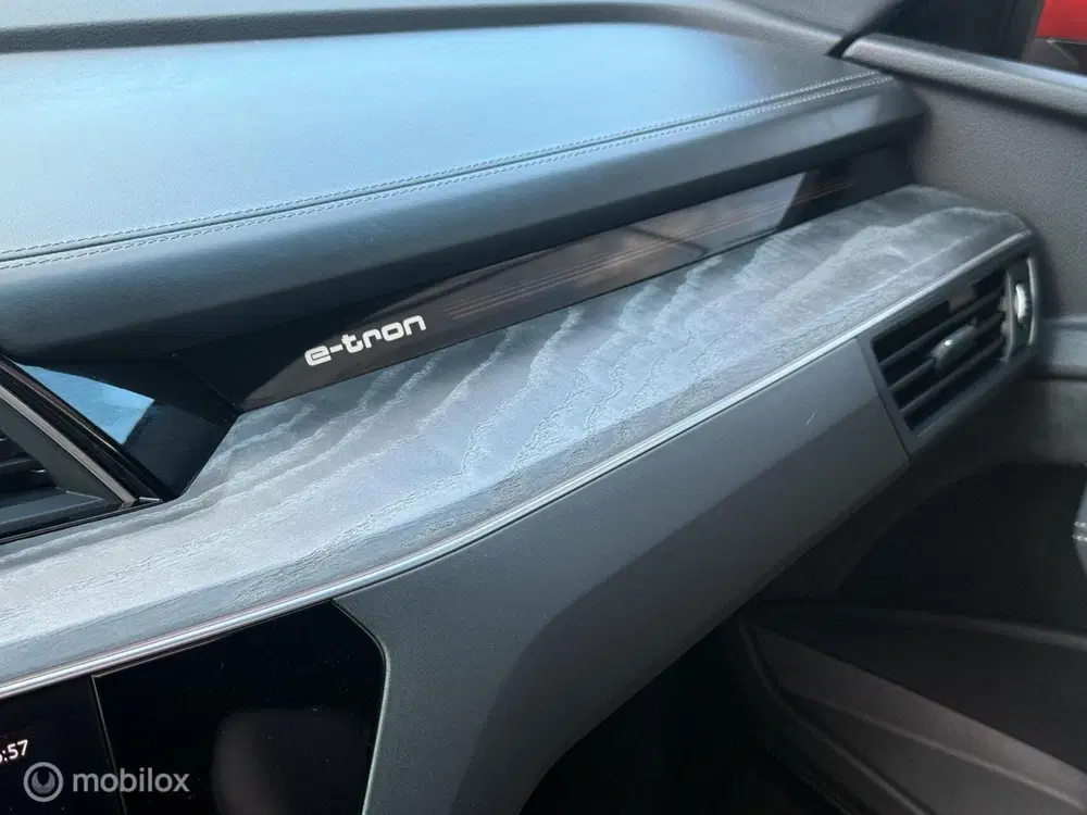 Audi e-tron 55 quattro uit 2019, foto 13