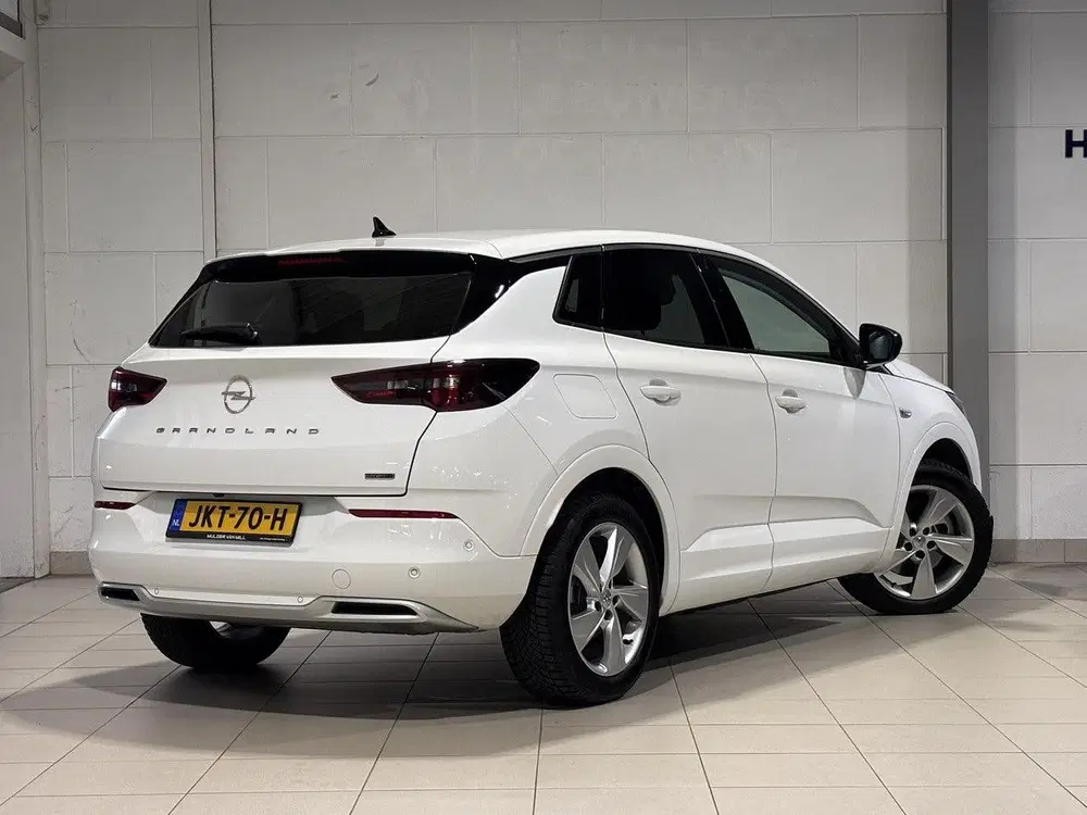 Opel Grandland Elegance 1.6 PHEV 225pk Hybrid e-EAT8 uit 2023, foto 6
