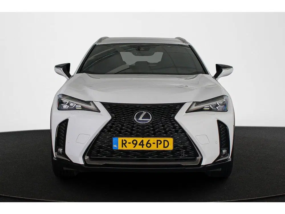 Lexus UX 250h AWD F Sport Premium Head-Up Camera St uit 2019, foto 14