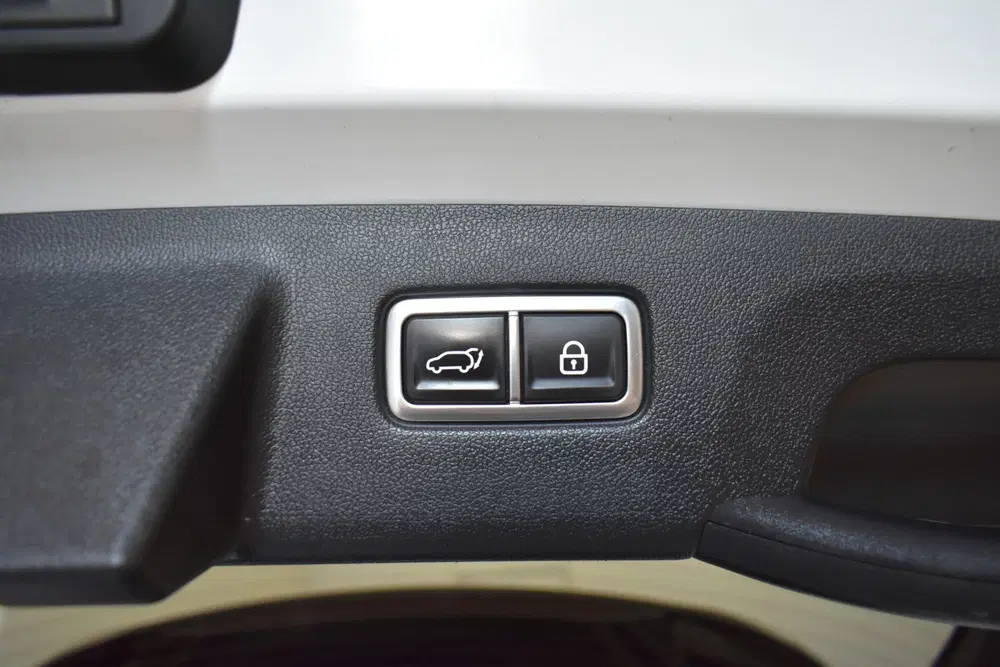 Kia Sorento 1.6 T-GDI Plug-in Hybrid 4WD Executive Tre uit 2021, foto 7