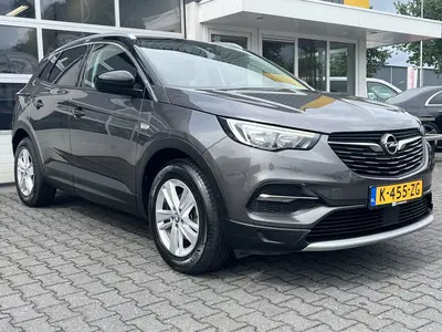 Opel Grandland 1.2 Turbo Business Executive Cruise contro uit 2021