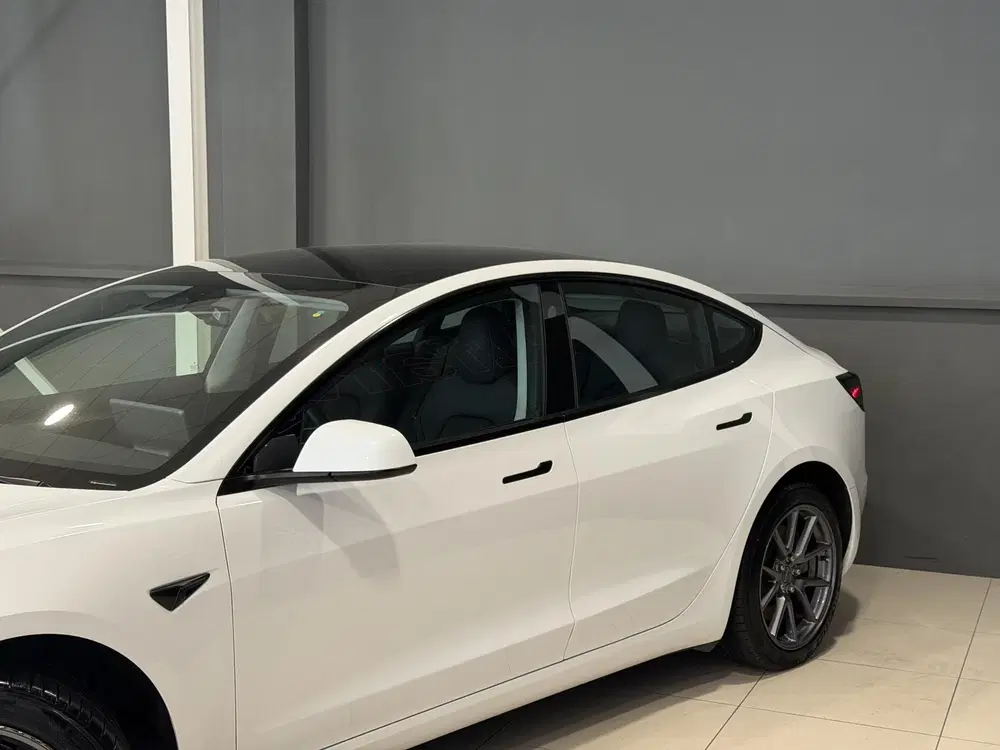Tesla Model 3 Long Range AWD 75 kWh uit 2023, foto 14