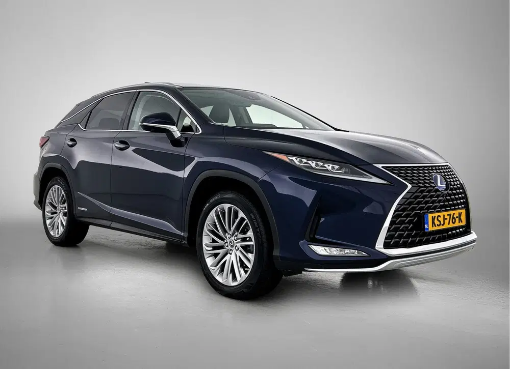 Lexus RX 450h AWD President Line uit 2021, foto 15