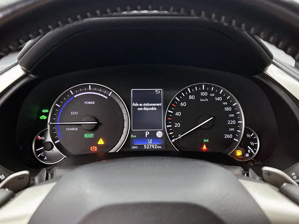 Lexus RX 450h AWD President Line uit 2021, foto 6