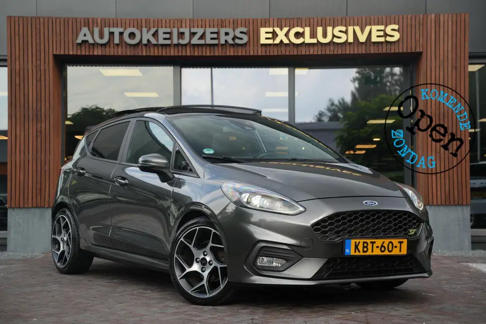 Ford Fiesta 1.5 EcoBoost ST-3 Panoramadak Cruise Recar uit 2019