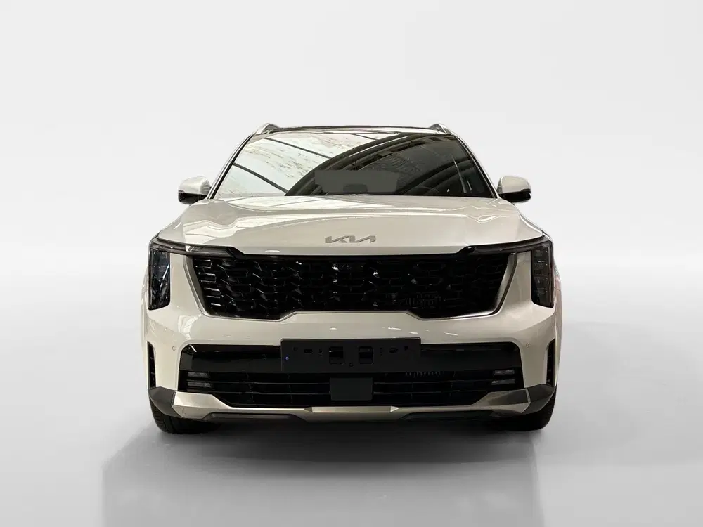 Kia Sorento 1.6 T-GDi Plug-in Hybrid 4WD DynamicPlusLi uit 2024, foto 2