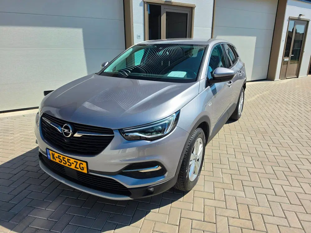 Opel Grandland 1.2 Turbo Business Elegance I 360 Camera I uit 2021, foto 11