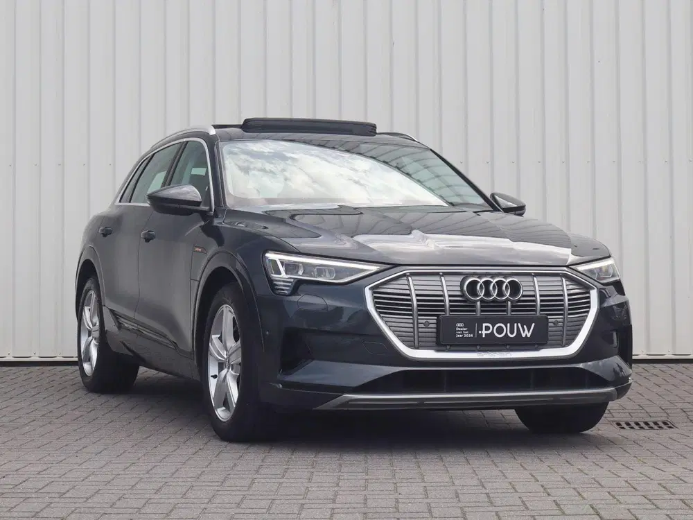 Audi e-tron 50 313pk quattro Launch edition plus 71 kW uit 2019, foto 10