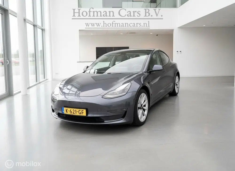 Tesla Model 3 Long Range AWD 75 kWh uit 2020