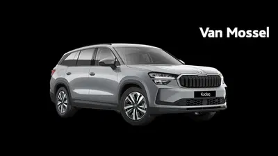 Skoda Kodiaq 1.5 TSI PHEV Business Edition 204 PK uit 2026