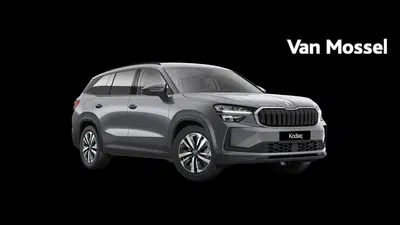 Skoda Kodiaq 1.5 TSI PHEV Business Edition 204 PK uit 2026