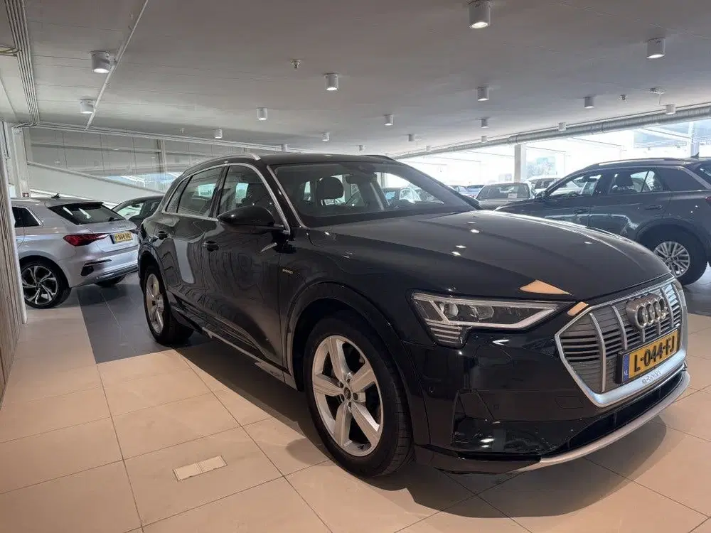 Audi e-tron 55 quattro Business edition 95 kWh uit 2021, foto 3