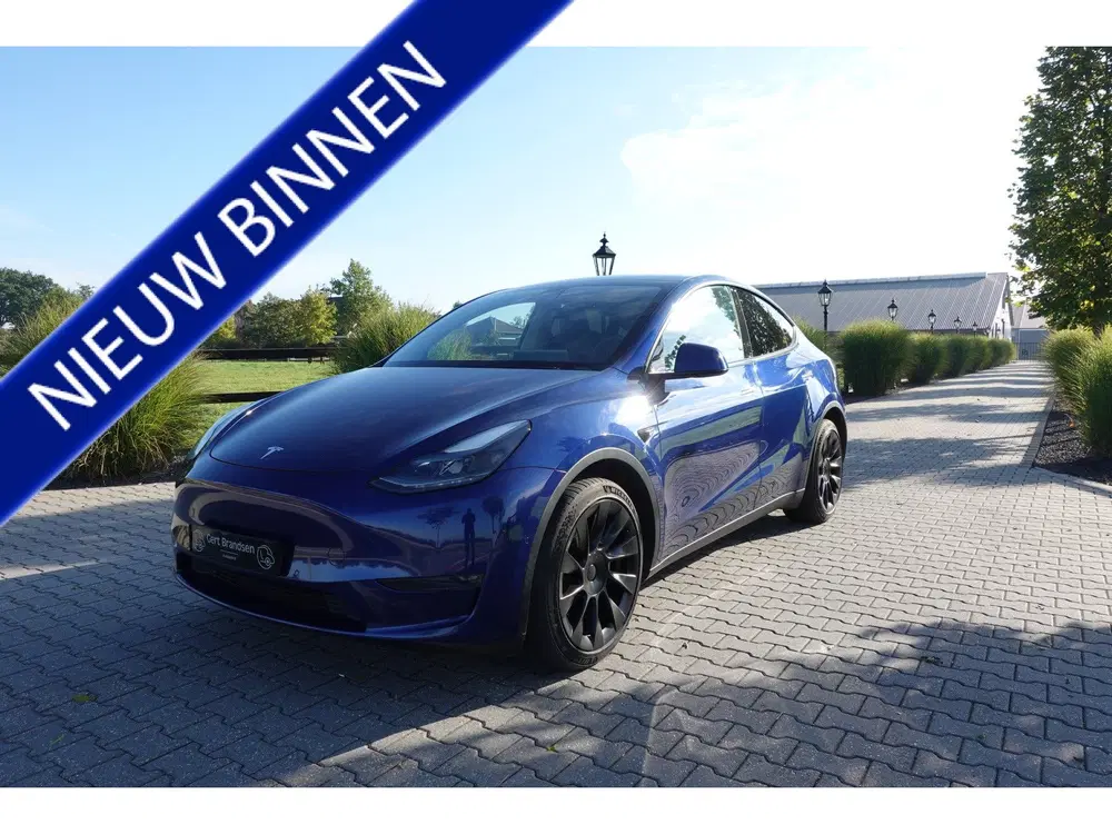 Tesla Model Y Long Range AWD 75 kWh (bj 2021 uit 2021