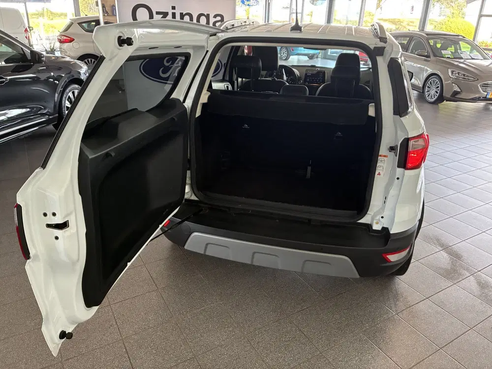 Ford EcoSport 125pk EcoBoost Titanium navi-winterpack-bl uit 2019, foto 9