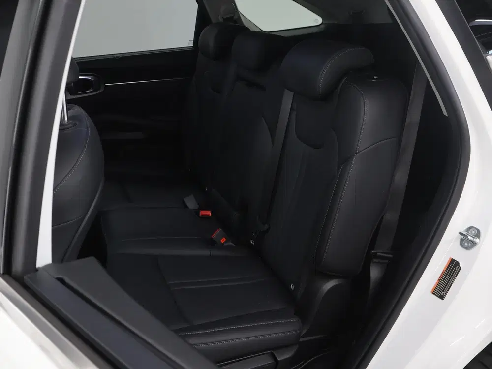 Kia Sorento 1.6 T-GDI Plug-in Hybrid 4WD DynamicPlusLi uit 2023, foto 11