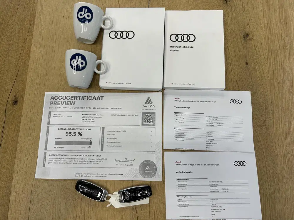 Audi e-tron Quattro S-Line 55 quattro S Edit uit 2024, foto 10