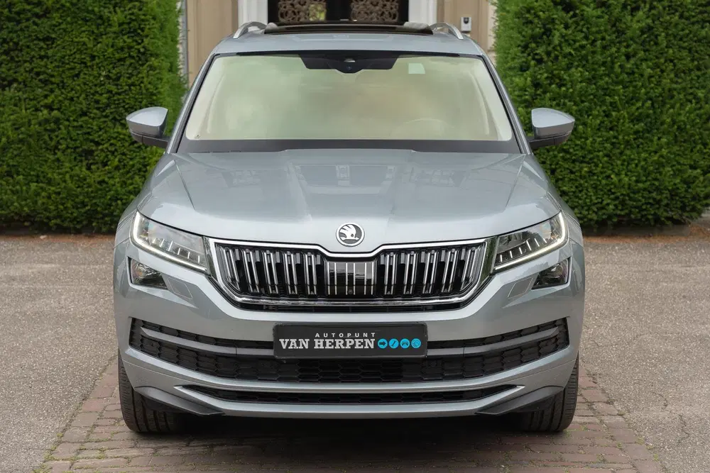 Skoda Kodiaq 2.0 TSI 4x4 Laurin&Klement 360 CAM uit 2021, foto 8