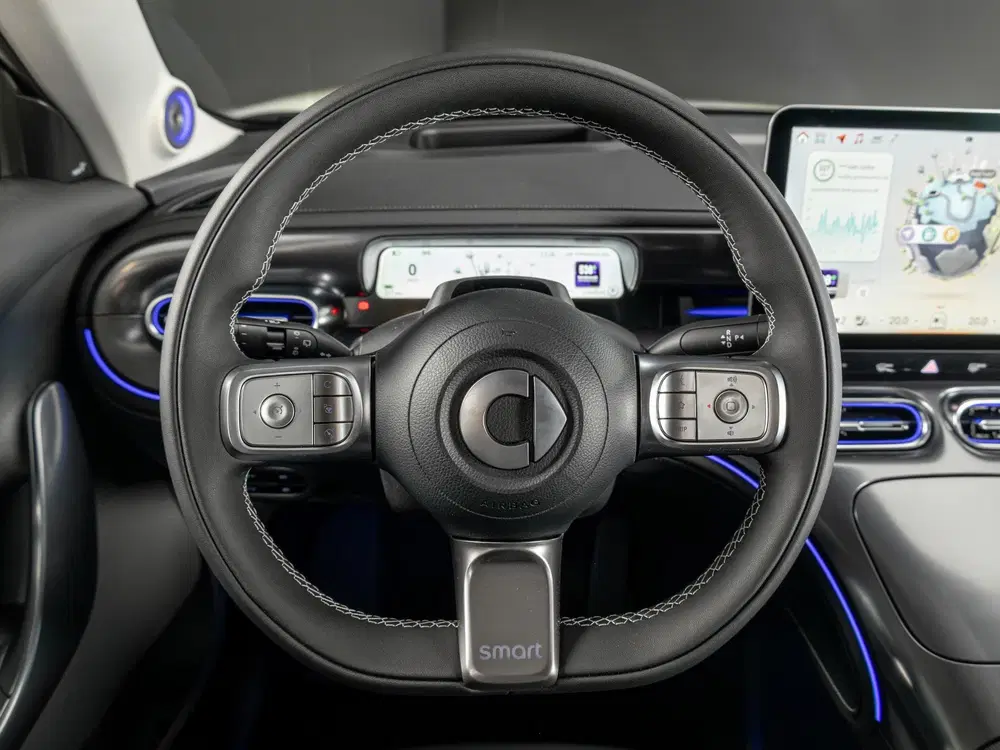 Smart #1 Premium 66 kWh uit 2026, foto 11